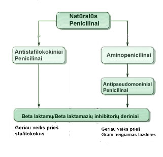 Natūralūs penicilinai