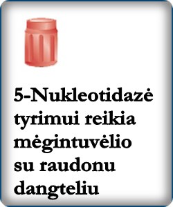 5 nukleotidaze