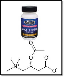 Acetil- L- karnitinas