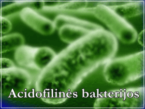 Acidofilines bakterijos