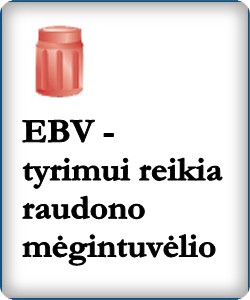 EBV tyrimas