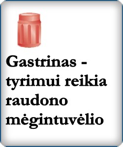 Gastrinas