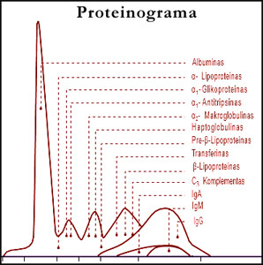 Proteinograma